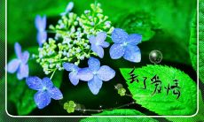 告别三月四月,欢迎四月的开端!分享40句送行与迎接的说说