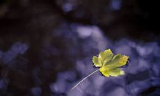 选题困难？在这里为2022年找到最佳励志名言！