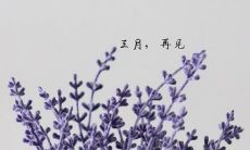 告别三月,欢迎四月:一次关于实际生活的说说