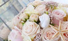 Expressing Gratitude to Nature - Inspirational English Sentences