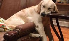 幸福喜悦畅饮,欢快畅谈美妙喝酒之情!