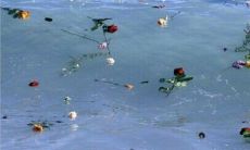 一句祝福:愿你每一天都充满快乐与幸福的英文句子