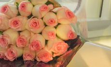 享受生活的十个幸福句子,让您重新认识快乐的力量