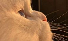 一些能够让女生嘴角上扬的语句,轻松增添情趣和欢乐氛围!