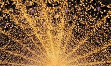 欣喜万分,沐浴阳光的绚丽笑容:看到你快乐的时刻!