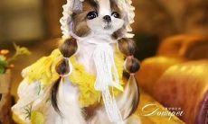 一系列幽默有趣的句子,让你开怀大笑,充满快乐与愉悦