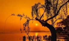 有哪些能够让他人开怀大笑的幽默语句和调皮俏皮的话语呢?