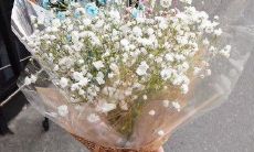 一起度过时光的那些瞬间,让我充满开心感的与TA的句子