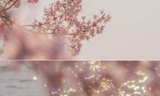 享受幽默的欢乐氛围,带来快乐开心的句子