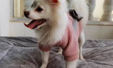 享受欣赏油菜花盛开的愉悦体验:带给你快乐的句子!