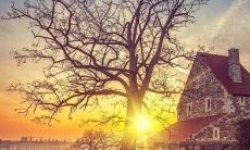 用最美的祝福送给你的好友:愿你今日开怀!