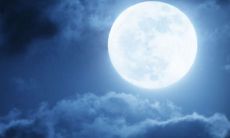 有哪些可以用来进行比喻的句子呢？