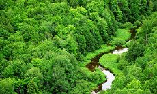 一条关于茶叶的问候短信:传递你对茶叶的热爱,分享关于茶叶的知识及探索,增进友谊与心灵交流的方式