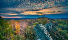 如何运用生动的语言，通过细致的描述和色彩的运用，创造出具有鲜明感受和生动画面的写景句子？