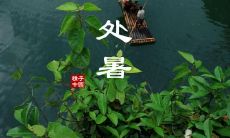 我想对大家说说我在处暑时期的心情——分享关于处暑的早安语录和感想
