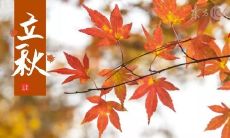 人生感悟之立秋：一段说说感受心情的长篇短语