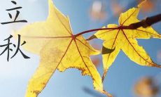精美的立秋祝福语图片,让您分享季节之美及温馨祝福!