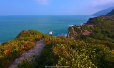 相思,海誓山盟:探究爱情中的誓言和承诺