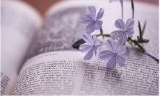 安慰和治愈心灵的幽默句子,令人心碎的情感缓解之旅