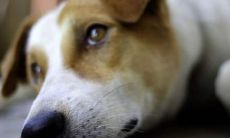 购买汽车带来的忧虑和焦虑，使心绪不宁和烦恼缠绕不断的话题