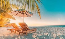 使用温柔短语来治愈,引领你步入神仙般的心境