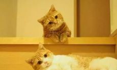 振奋人心的激励语句，让人沐浴在温暖力量中