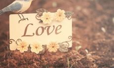 经典的让人心碎的句子,能让你痛彻心扉,深刻体会到人生无常的感悟和情感共鸣!