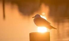 在下雨天心情烦躁时，如何表达自己的感受？