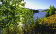 在雨滴敲打着窗户的声音中挣扎的烦恼:情绪受到雨天的困扰