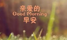 精选适合用于朋友圈发布的寓意深远、鼓舞人心的美好早晨问候句子大全