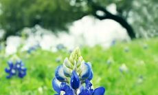 欢笑中表达对友情的敬爱:滑稽逗趣的赞美友谊句子