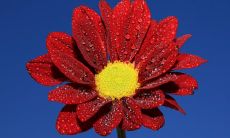 不仅限于男女之间，关于与异性的意义深厚而难得的友情，经典而珍贵的句子推荐！