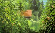 精选优美的散文句子，提升阅读品味的心灵魔法