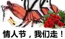 为了让情人节更有趣:分享一些搞笑情人节说说文案!