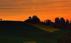 一组令人陶醉的、令人心醉的华美爱情短语和句子