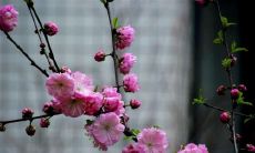 如何用简单的句子轻松获得幸福:探究开心的基本原则