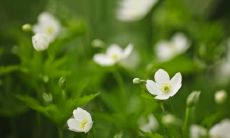 如何表达在亲情关系中被彻底隔离的感受?