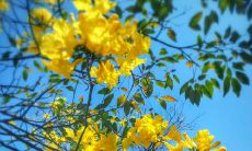 走过人生路程的开心句子:一份经典语录,记录着我们走过的路程