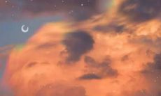 让我们感恩节日多彩多姿，欢聚一堂，用简短句子诉说感恩之情