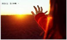 心痛不已的孑然一身，哀婉绝伦的句子萦绕心头