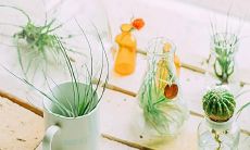 六亲不认、亲情疏离的深刻表述