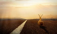 探索人生进步之路:数句感悟助你踏上成功之门