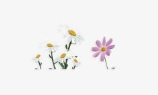 一句令人开怀欢笑并充满喜悦的句子