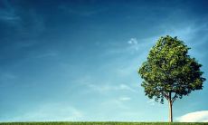 无价之情，催人泪下：用美妙语言描述亲情的珍贵、无可替代之处