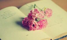 倘若连绵而来的痛苦经历足以抹去曾经欢乐无比的时光，直至让你深深地沉浸在对爱情的无限绝望之中，这些对爱情失望的句子，无不刻画出了本人透彻的感受与切肤之痛