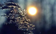 探索最新时尚的短信问候语,让你看起来更聪明、时尚和社交 #最新短信问候语#