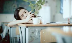 渴望成为你身旁的小猫咪,享受在你怀中甜蜜入睡时撒娇的美好时刻——让爱人深刻感受情感表达的幸福回响