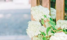 妈妈与我之间所共享的深情句子——弘扬母爱的温暖与力量