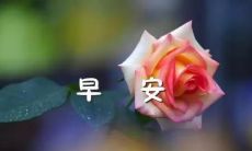 分享给你的朋友圈的早安激励语,希望能够带给你清晨的动力和正能量!