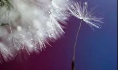 精神饱满,气势磅礴,挑战巨无霸——为你加油!运动会口号助你获胜!